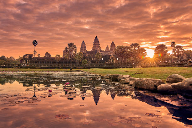 Angkor Wat reflecting in the lotus pond at sunrise
