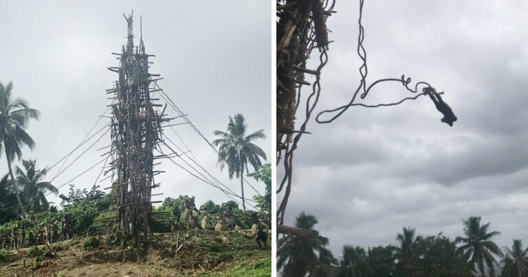 Aerial view of Espiritu Santo coastline with turquoise waters