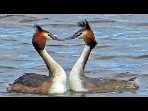 Eleanor birdwatching