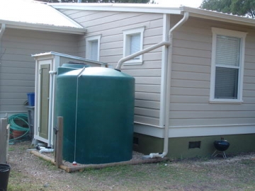 DIY Rainwater Harvesting: Water Your Garden for Free