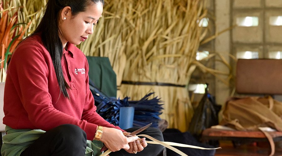 Ancient temple ruins surrounded by lush jungle with a bicycle leaning against a tree