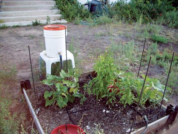 Turn Shower Water into Garden Gold: A DIY Homestea...