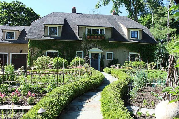 Creating a Cottage Garden Oasis: 5 Simple Steps...