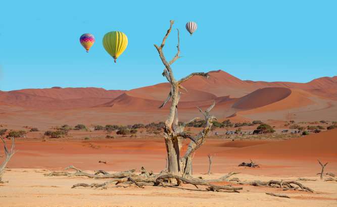 A wide-angle shot of the Namib Desert at sunrise from the hot air balloon, capturing the red dunes bathed in golden light. The photo has a sense of scale and vastness, and the balloon is visible. The lighting is soft and warm.