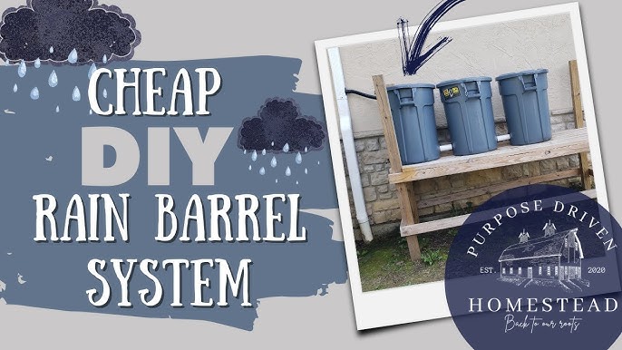 Revive Your Homestead: Build a Budget-Friendly R...