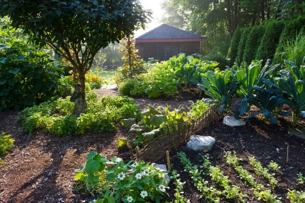 A black compost tumbler in a backyard setting, showing the process of composting