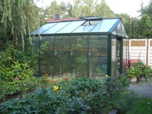 7 Easy Ways to Make Your Garden More Pollinator...