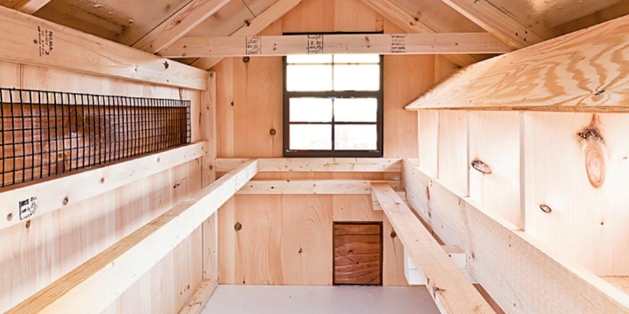 Example of a predator-proofed chicken coop.