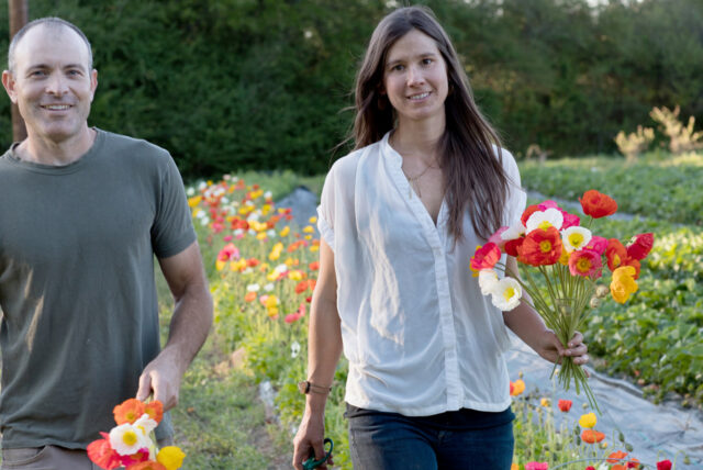 Sowing Seeds of Community: The Rise of Seed Lib...