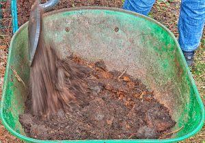 Revive Your Garden: Simple Secrets to Building...