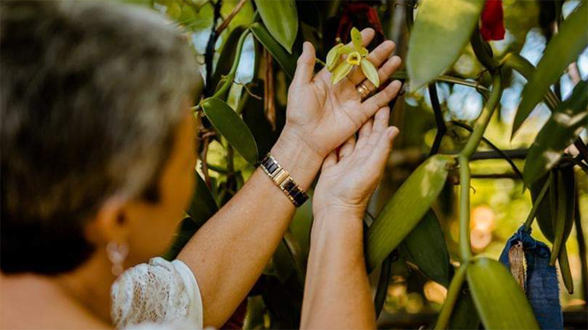 Indri Lemur in Andasibe National Park