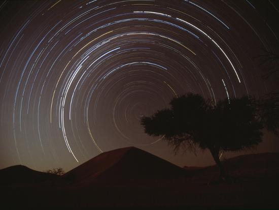 Joshua trees silhouetted against the night sky in the Mojave Desert. This image represents the serene beauty of the Mojave Desert at night, where the unique desert flora stands in contrast to the vast starry sky.