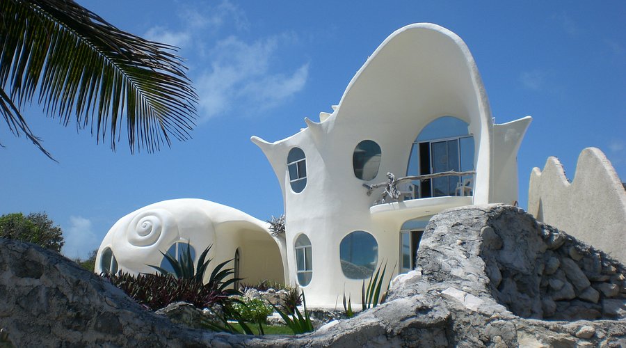 # The Seashell House: An Eco-Conscious Marine Biol...