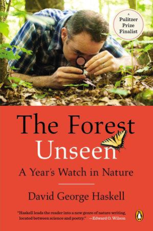 an illustration of a dense forest
