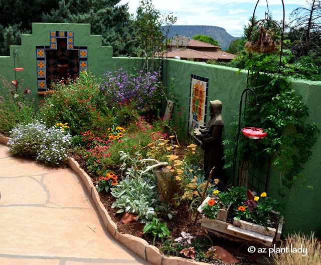 A collection of desert plants and flowers thriving in an outdoor garden, designed for a dry climate.