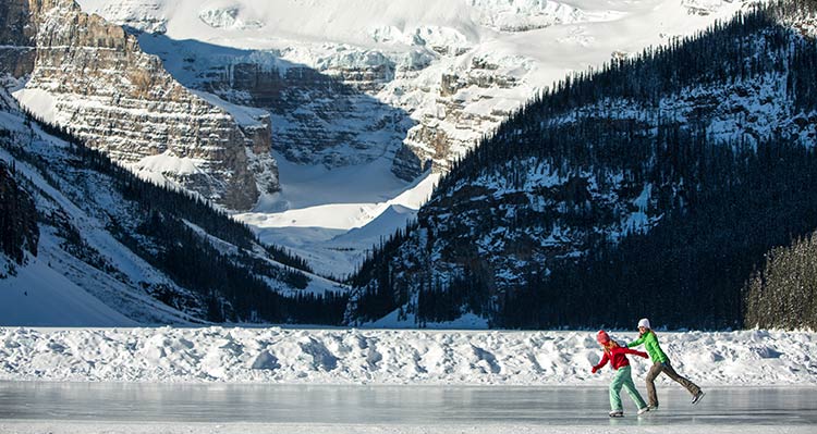 A deer standing in the snow in Banff, Alberta