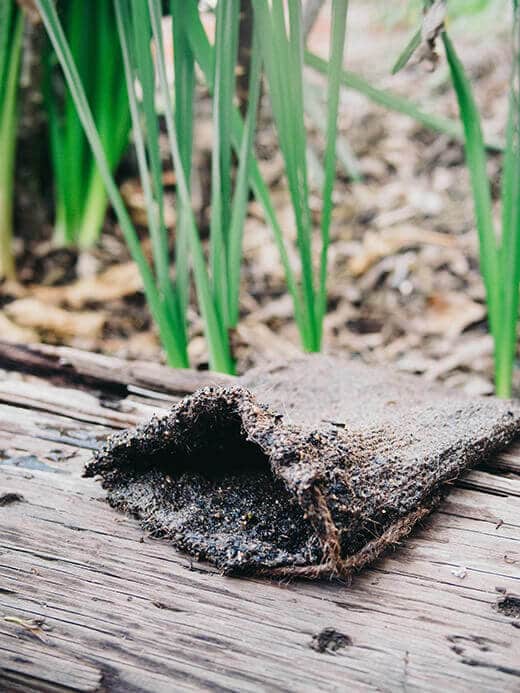 Brewing Bounty: The Secret to Luscious Gardens...