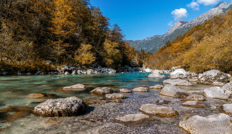 A close up of potica with focus on the texture of the crust