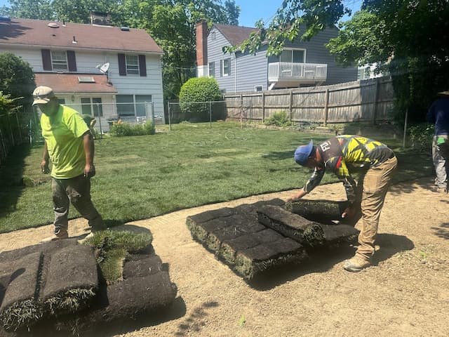 Poolside, landscape lawncare
