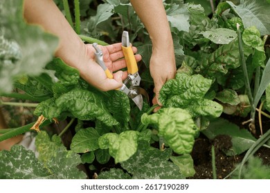 Autumn's Embrace: Creating a Rustic and Invitin...