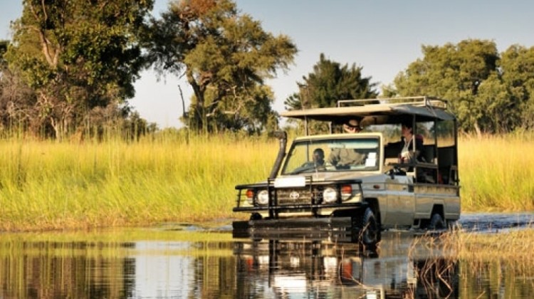 # Okavango Delta Mobile Safari: An Adventure Immer...