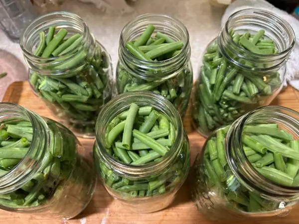 Beans in jars
