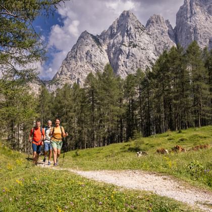 View of the Julian Alps