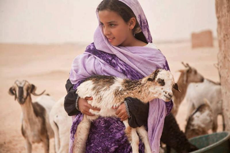 Image of Fatima teaching Omar how to make tagine.