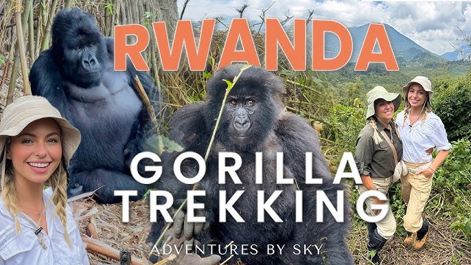 # Rwanda: A Wildlife Photographer's Journey of Con...
