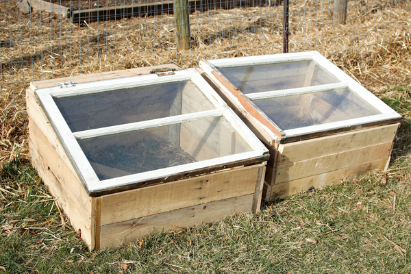 Various pallet cold frame options.