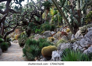The exterior of The Langham, Pasadena, highlighting its elegant architecture and lush gardens, emphasizing its refined luxury and proximity to the Huntington Desert Garden.