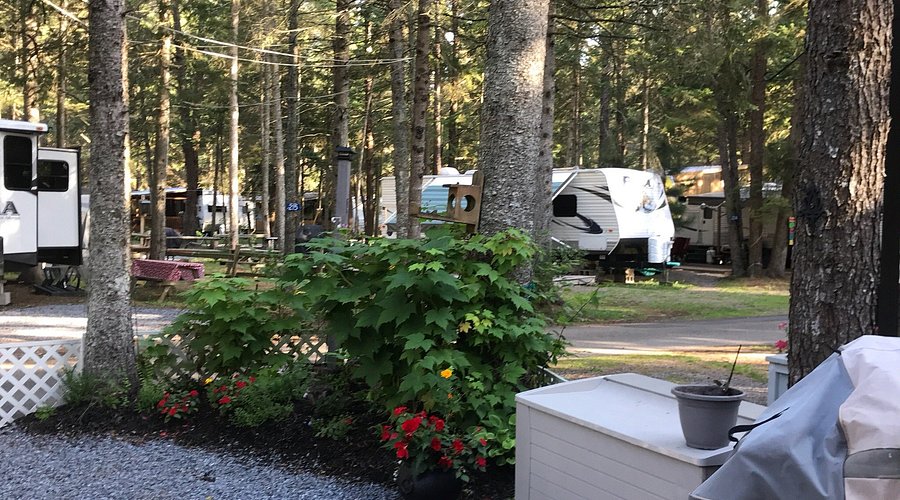 Yosemite Pines RV Resort Family Lodging