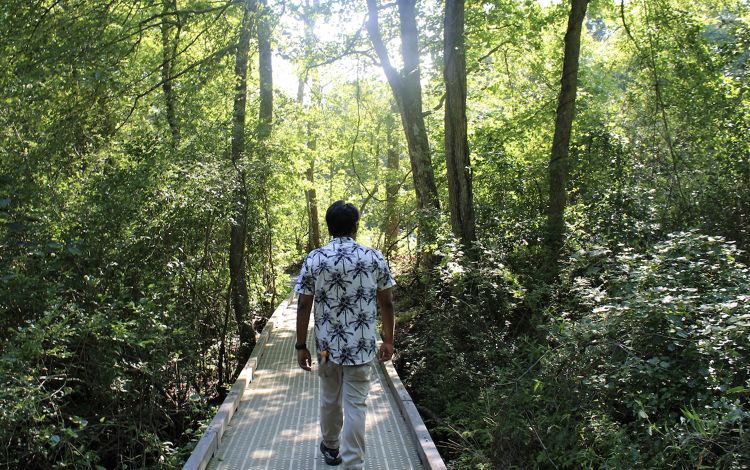 A handcycle rider on an accessible trail in Beech Mountain, USA