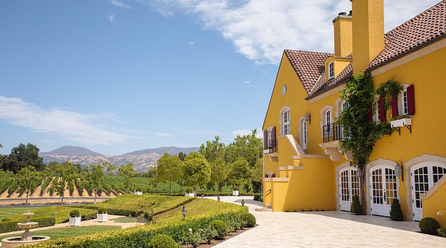 An elegant chateau sitting among the vines