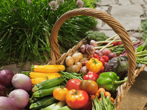 Photo of a fall harvest