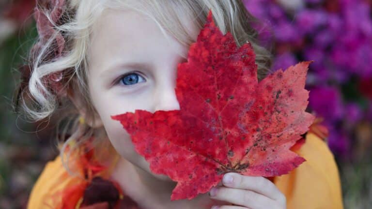 A girl holding an autumn leaf