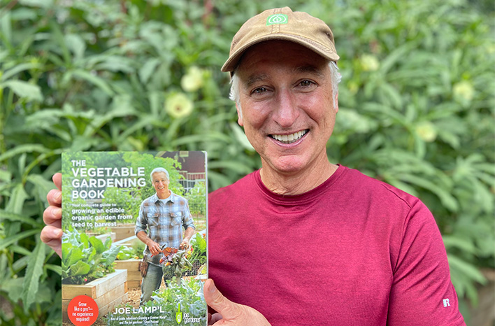 Gardener amending soil compost cover crop