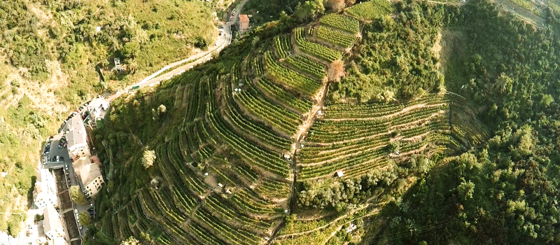 Fueling up for the Sentiero Azzurro with the famous Anchovies of Monterosso at Ristorante Miky. A must-try!