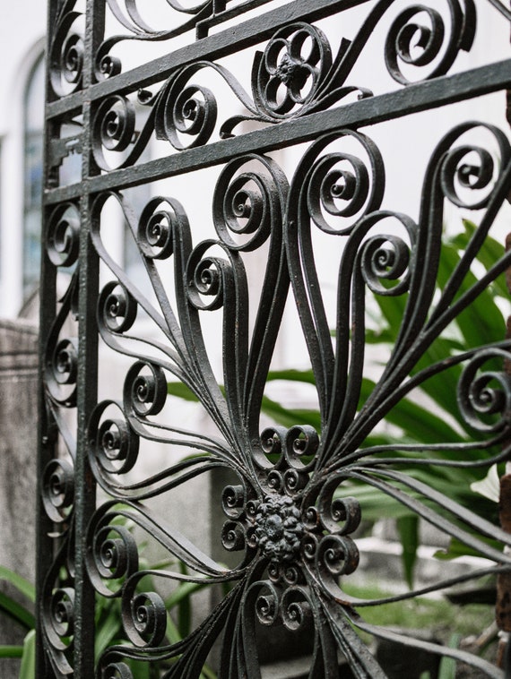 # Charleston: Where Iron Lace Sings and History Br...