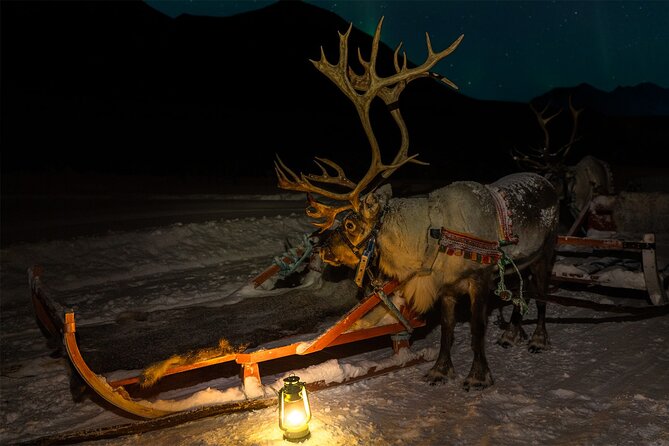 Medium shot inside the Kota, showing people gathered around a fire, listening to a Sami elder telling stories, with the firelight casting warm shadows on their faces.