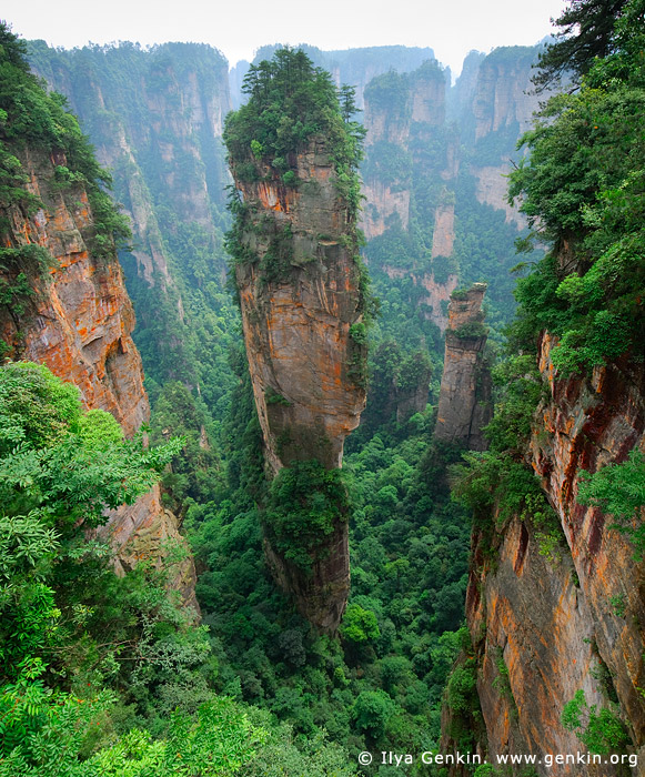 A group of tourists walks along a well-maintained pathway in the Tianzi Mountains, demonstrating sustainable tourism practices.