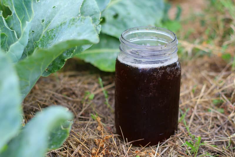 Slash Fertilizer Costs: The Beginner's Guide to...