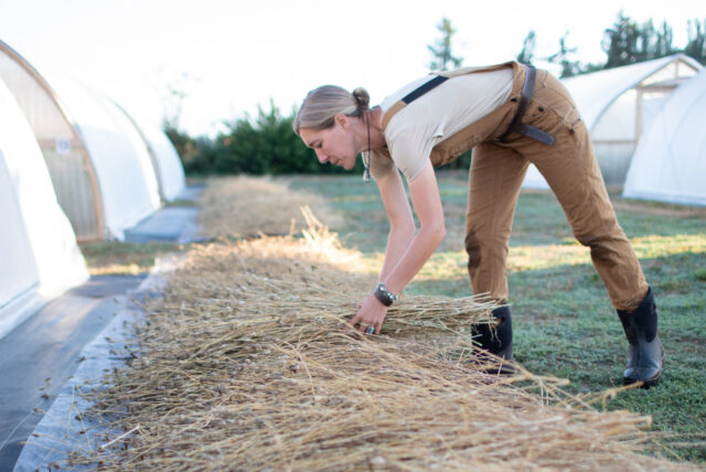 Sustainable Threads: Building an Ethical Homestead...