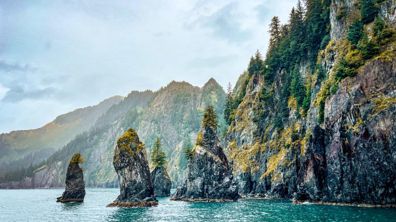 Panoramic view of Kenai Fjords showcasing the Harding Icefield, tidewater glaciers calving into the sea, and lush rainforests clinging to the edges of the fjords, demonstrating the diverse landscape and natural beauty of the park.