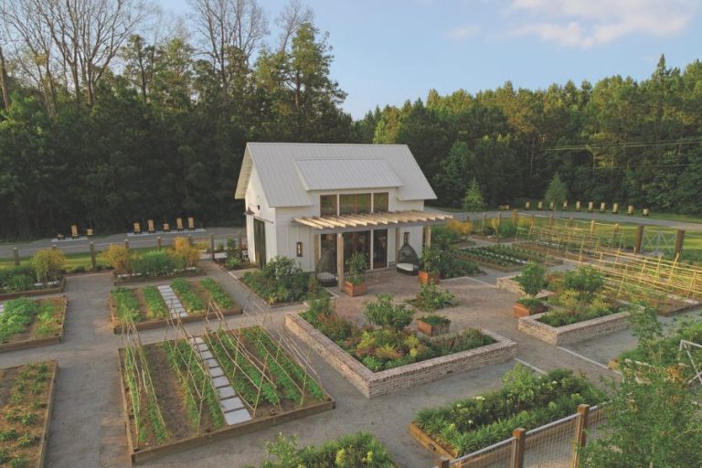 Organic backyard garden with a wooden fence and a variety of plants and vegitables planted in rows