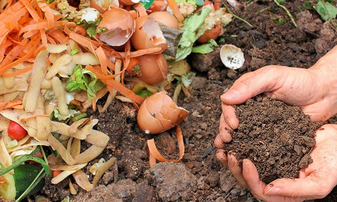 Grow Your Own Gold: 5 Natural Fertilizers to Bo...