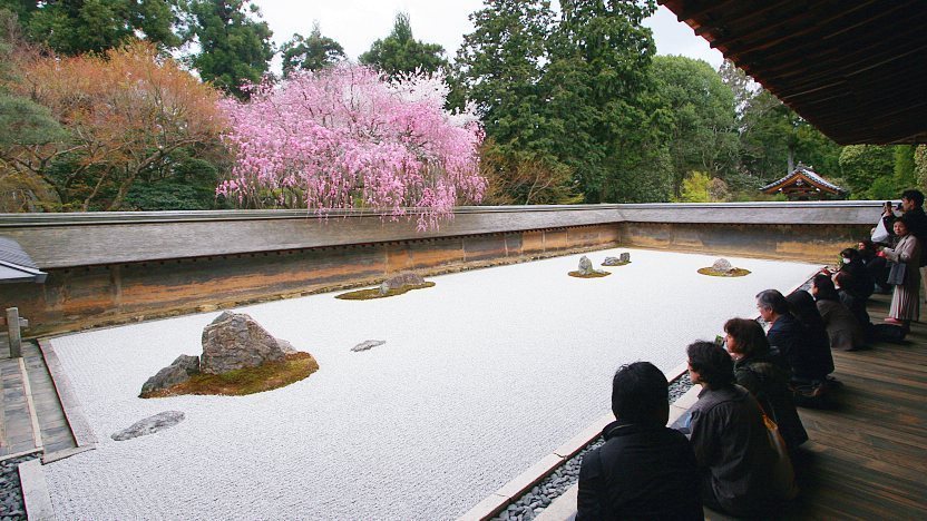 Cherry blossoms cascading over a temple in Kyoto