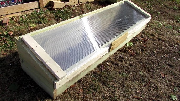 Close up of plants inside of a cold frame