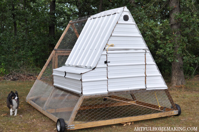 Completed A frame chicken coop tractor build.
