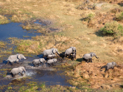 Aerial view of the Okavango Delta floodplains and dry earth.